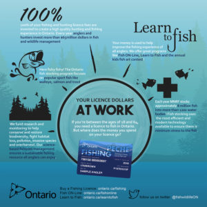 Content Creation. Infographic by impactcom.ca.